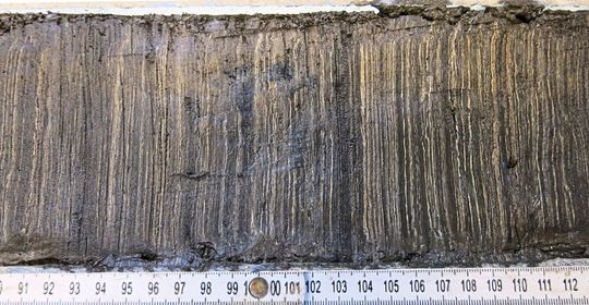 Querschnitt durch einen Sedimentbohrkern aus dem Moossee. Jahr um Jahr bildet sich jeweils eine neue Sedimentschicht aus organischem Material, das auf den Seeboden absinkt.(Bild:  Forschungsgruppe Geoökologie, Universität Basel)