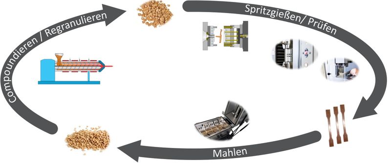 Darstellung der Kreislaufstudie über die Verarbeitungsstufen anhand von Polypropylen mit Naturfasern.  (Bild: Kunststoff-Institut Lüdenscheid)
