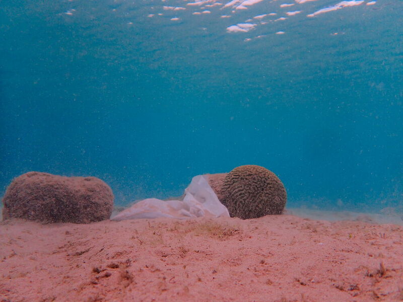 Plastik zwischen Korallen auf dem Meeresgrund vor Curacao. Wieviel Plastik unsere Meere verschmutzt, kann aktuell nur geschätzt werden.  (Alexis Pey - Thalassa)