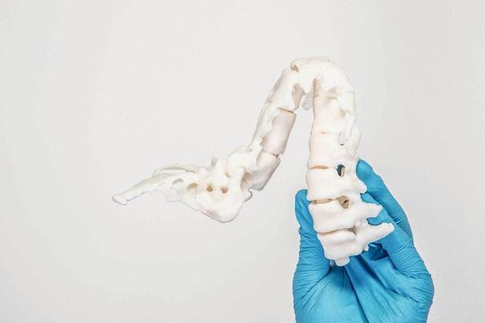 Patientenspezifische Anatomiemodelle ermöglichen eine präzise Vorplanung des Eingriffs. Das Resultat: verringerte OP-Zeiten und Reduzierung der Risiken. Patientenspezifische Anatomiemodelle ermöglichen eine präzise Vorplanung des Eingriffs. Das Resultat: verringerte OP-Zeiten und Reduzierung der Risiken.