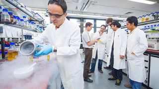 Entdeckten ungewöhnliche Bakterien-Werkzeuge: Dr. Christian Gurgui, Prof. Dr. Jörn Piel, Michael Freeman, Maximilian Helf, Brandon Morinaka und Agustinus Uria im Labor (von links). (Bild: Volker Lannert/Uni Bonn)