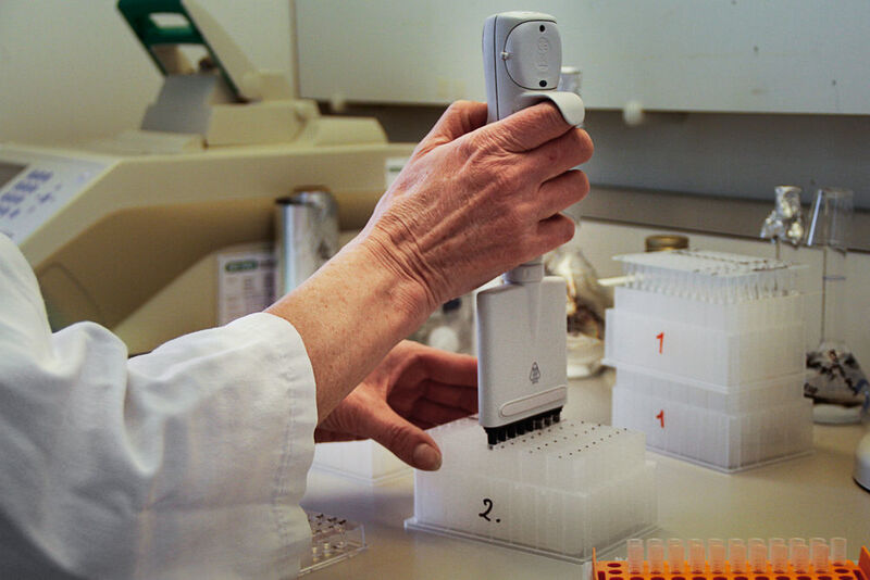 Enzyme testing in Bagsvaerd, Denmark (Picture: Novozymes)