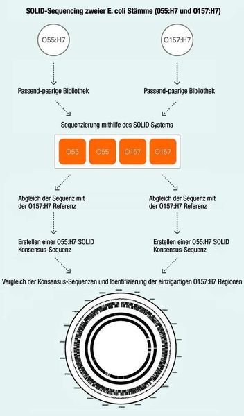 Abb. 2: Arbeitsablauf für das O55:H7 „nearest neighbor Sequencing“. (Archiv: Vogel Business Media)