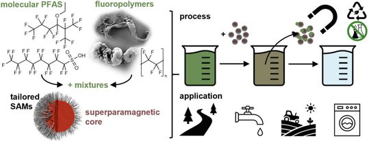 Maßgeschneiderte magnetische Nanopartikel ermöglichen eine umfassende Entfernung verschiedener PFAS aus unterschiedlichen Wasserquellen.(Bild:  Linda Rockmann, Johannes Voß)