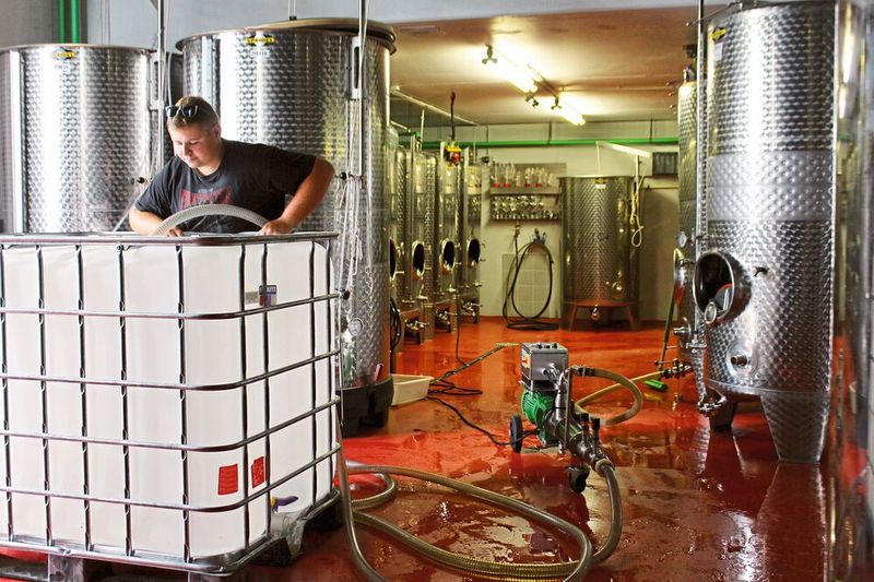 Im Kelterhaus des Weingutes in Kindenheim arbeitet Winzer Jan Philipp Kreutzenberger mit dem Schütz Wine- Store-Age IBC. (Bild: Weingut Kreutzenberger)