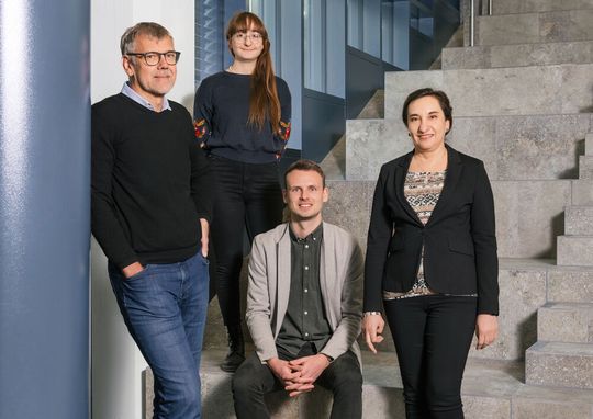 Innsbrucker AutorInnen der Studie (v. l.): Georg Dechant, Paola Chietera, Nico Wahl und Galina Apostolova(Bild:  MUI/F. Einkemmer)