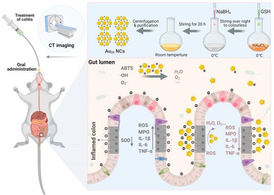 Synthesis of Au25 nanoclusters and the treatment process for colitis in mice.(Source:  Fei Wang)