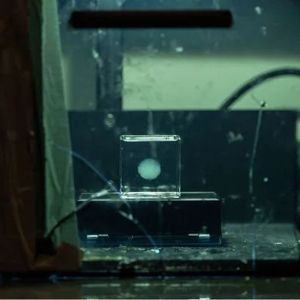 Eingebetteter 3D‑Druck ermöglicht die Herstellung eines Modells mit variabler Steifigkeit.(Bild:  University of Missouri)