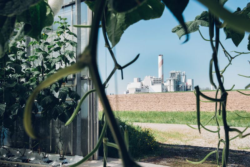 Sicht aus dem Gewächshaus auf die Kehrichtverwertung Zürich Oberland (KEZO) in Hinwil, auf der die Filteranlage steht. (Julia Dunlop/Climeworks)