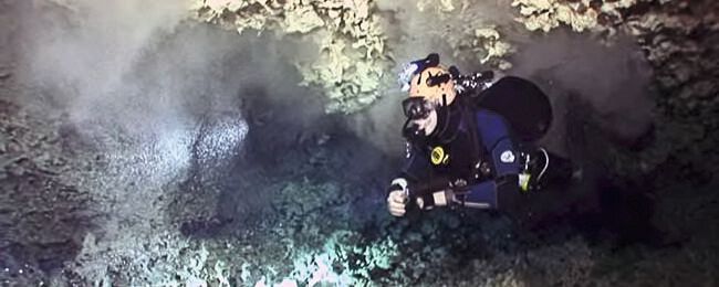 Tauchgang in den Cenoten: Die Forschenden sammeln den Unterwasserkrebs Xibalbanus tulumensis, der nur hier vorkommt(Bild:  Björn M. von Reumont)