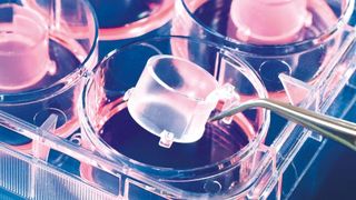 screenshot-2026-04-14-085330 (BRAND GMBH + CO KG)