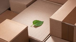 shutterstock-1967207290 (Quelle: Yuriy Golub/shutterstock)