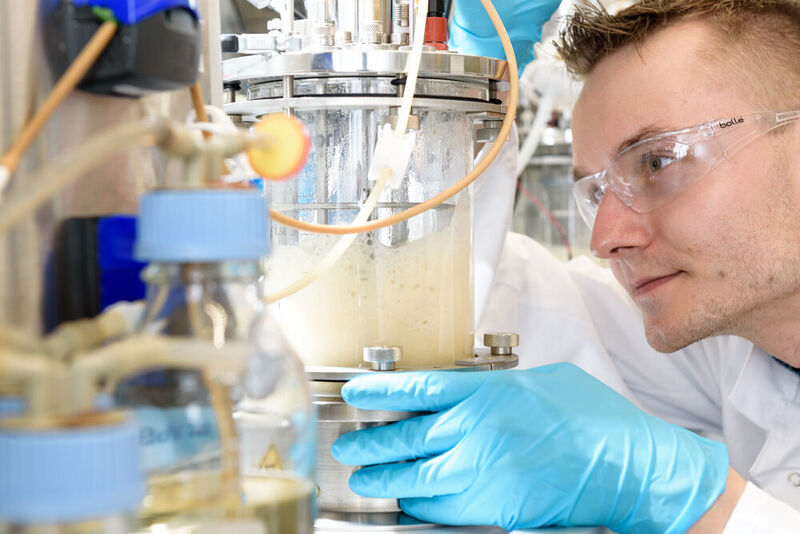 Numaferm verfügt über ein patentiertes Verfahren, mit dessen Hilfe Peptide direkt aus E.coli in die Protease-freie Umgebung gebracht werden können. (Evonik)