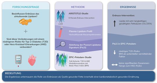 Schematische weergave van het onderzoek(Bild:  DIfE)