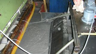 W40magnet_72_DPI.jpg ()