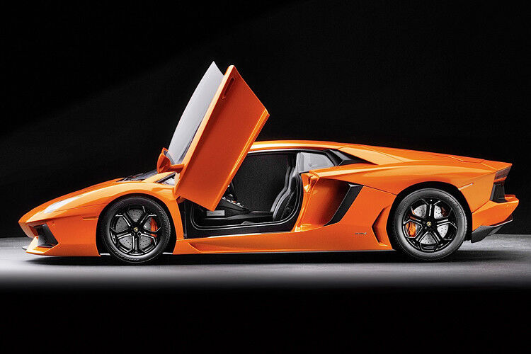 „Supermodell des Jahres 2013“: Lamborghini Aventador von Pocher (1:8). (Foto: Modell Auto)