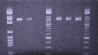  (Archiv: Vogel Business Media)