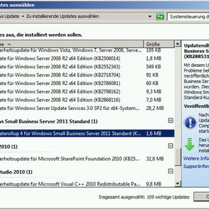 Abbildung 1: Über die Windows-Update-Funktion in SBS 2011 installieren Administratoren auch wichtige Updates speziell für SBS 2011.