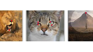 Mit der Drag Gan Methode können komplexe Bildbearbeitungen durchgeführt werden. Die KI generiert dabei eine Vorhersage für ein neues Bild, die wiederum von einem anderen Modell kontrolliert wird.  (Bild: MPI-INF)