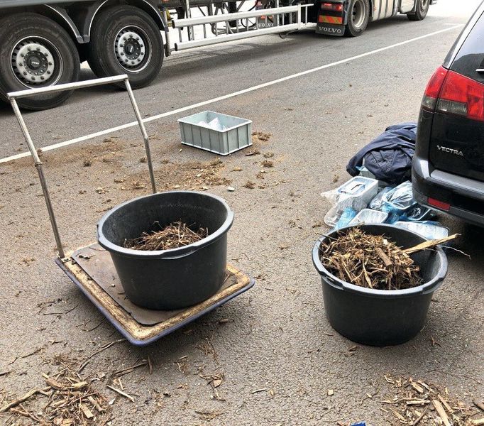 Probennahme bei der Anlieferung fester Brennstoffe: Solche Proben verschiedener Kraftwerke gingen – neben zahlreichen weiteren Materialien – in die Prüfung des Geräts zur Röntgenfluoreszenzanalyse ein (Bild: Felix Endriss/Hochschule für Forstwirtschaft Rottenburg)