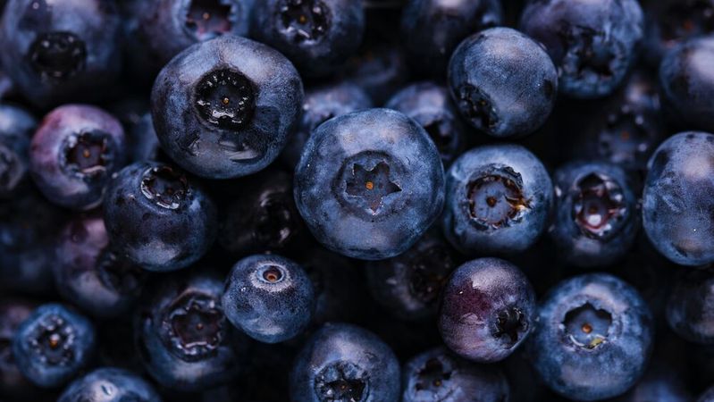 Moderne Lufttrockner mit Adsorptionstechnologie bieten eine effektive Lösung für die Lagerung empfindlicher Früchte – ohne Chemie und mit geringerem Energieaufwand.(Bild:  frei lizenziert /  Pixabay)