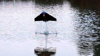 Der Roboter könnte zur Entnahme von Wasserproben in gefährlichen und unübersichtlichen Umgebungen wie bei Überschwemmungen oder bei der Überwachung der Meeresverschmutzung eingesetzt werden. (Aerial Robotics Lab/Imperial College London)