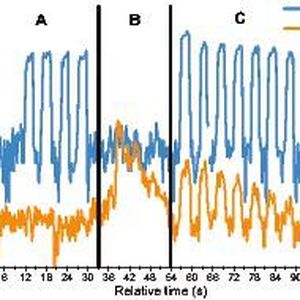 Abb. 2: Beispielmessung mit dem NASE-Einlasssystem. 