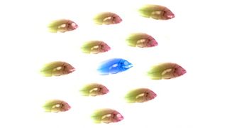 Ein wichtiger Grundsatz der IT-Sicherheit: Man kann nur jene Angriffe bekämpfen, die man sieht. (Archiv: Vogel Business Media)