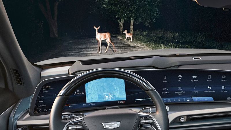 Im Vistiq sind zahlreiche Assistenzsysteme verbaut, darunter auch ein Nachtsichtsystem. (Bild: Cadillac)