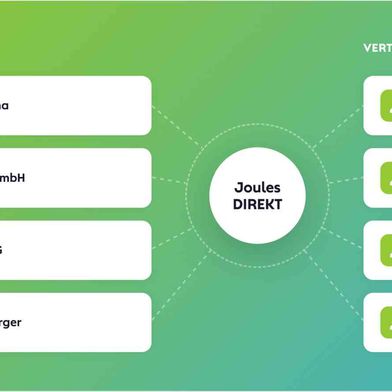 "Joules.Direkt ist eine direkte Vertriebsplattform, die Energieversorger und Vertriebspartner ohne Mittelsmänner verbindet. (Bild: Kraftwerk Software Holding)