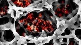 Die Kleinsten im Netz - Papierfasern mit Leuchtstoff-Nanopartikeln  (Bild: KIT)