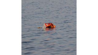 Every minute, a garbage truck’s worth of plastic enters the ocean. (Source: free licensed)