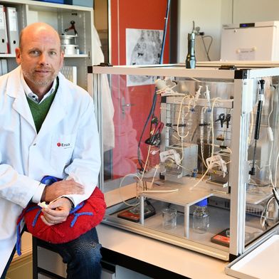 Der Empa-Forscher Peter Wick hat sich mit seinem Team dem Safe-and-Sustainable-by-Design von Graphen gewidmet. (Bild: Empa)
