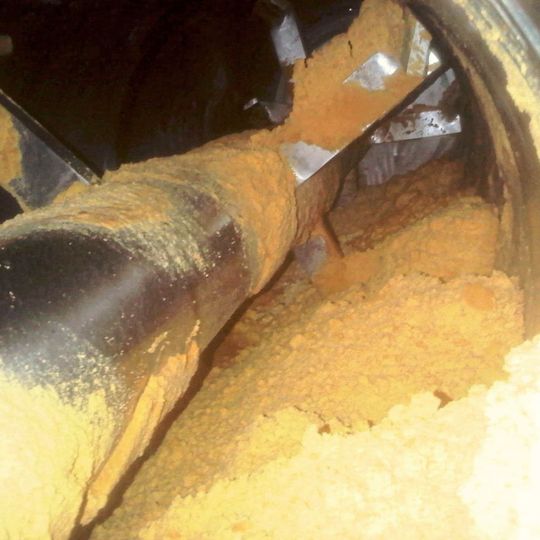 Das Eigelbpulver wird mit einer Restfeuchte von weniger als zehn Prozent ausgetragen.(Bild:  AVA)