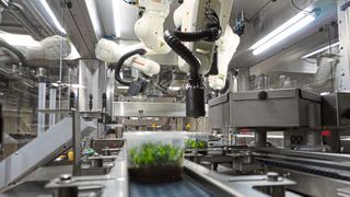 Vier präzise und schnelle Kawasaki-Roboter, High-end-Bilderfassung, ein Laser und eine leistungsstarke KI: Das Ro-Bo-Cut-System von Bock Bio Science revolutioniert die Pflanzenvermehrung. (Bild: Kawasaki Robotics)