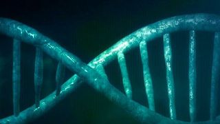 Neandertaler-Gene stärkten das Immunsystem moderner Menschen (Bild: PublicDomainPictures; CCO)