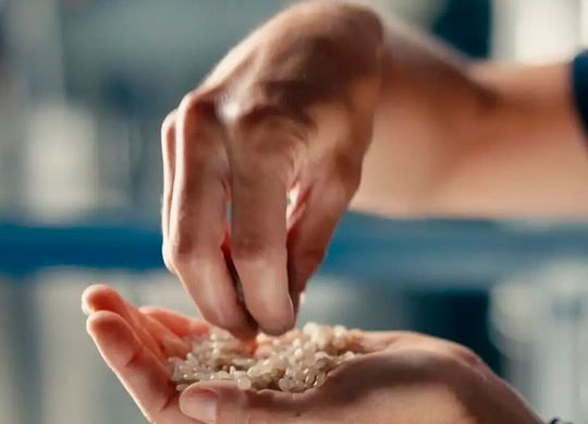 Cirplus ist ein Unternehmen und gleichzeitig eine digitale Beschaffungsplattform für recycelte Kunststoffe. Damit die Hamburger noch fitter für die Zukunft werden, hat man sich jetzt zwei Top-Verstärkungen ins Entscheidungs-Team geholt ...(Bild:  Cirplus)