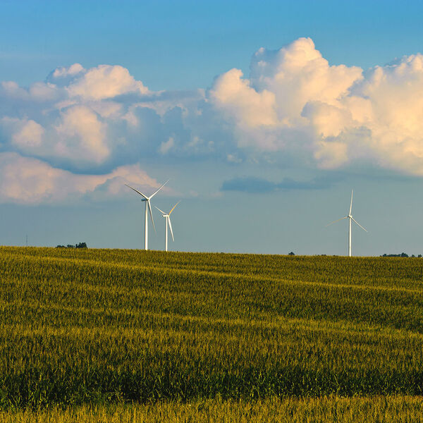 Der Auftrag des US-Energieversorgers MidAmerican umfasst insgesamt 448 Windenergieanlagen, die für fünf Projekte in Iowa bestimmt sind. Mit einer Gesamtleistung von 1050 MW liefern sie sauberen Strom für etwa 320.000 amerikanische Haushalte. Windenergieanlagen von Siemens kommen in vielen Windkraftwerken in den USA zum Einsatz – seit 2008 hat Siemens Anlagen mit mehr als 1,2 GW Leistung an MidAmerican Energy geliefert. Das Foto zeigt den Windpark Vienna mit 44 Windenergieanlagen des Typs SWT-2.3-108. (Bild: 2011 MidAmerican Energy Holdings Company)
