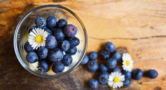 Ein Pflanzenextrakt aus Heidelbeeren wirkt in Zellversuchen gegen Masern- und Herpesviren. Ein Pflanzenextrakt aus Heidelbeeren wirkt in Zellversuchen gegen Masern- und Herpesviren.