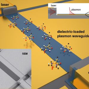 (Bild: B.Schwarz et al. Nature Commun 5, 4085, 2014 [2])