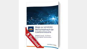 Whitepaper Cover: Modus Consult GmbH