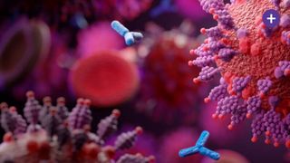 Wirkmechanismus von COR-101: Der Antikörper blockiert die Bindung des Virus SARS-CoV-2 an die Wirtszelle. (Bild: Corat Therapeutics)