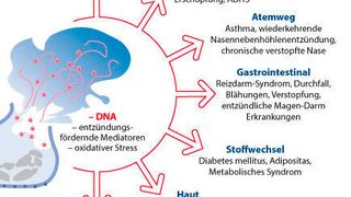 Zellstress beispielsweise hervorgerufen durch Nahrunsmittelunveträglichkeiten könnte eine Rolle bei bei verschiedensten (chronischen) Entzündungen spielen. (Cell Science Systems )