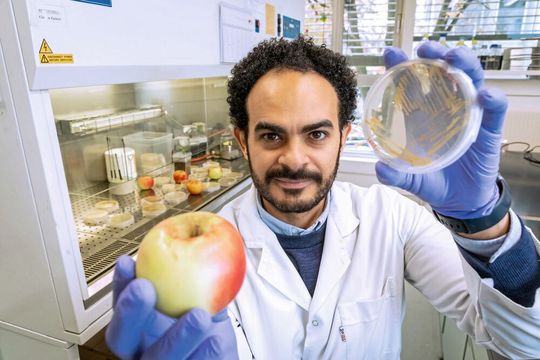 Ahmed Abdelfattah ist Umweltbiotechnologe und Marie-Curie-Fellow an der TU Graz. (Bild:  Lunghammer – TU Graz)