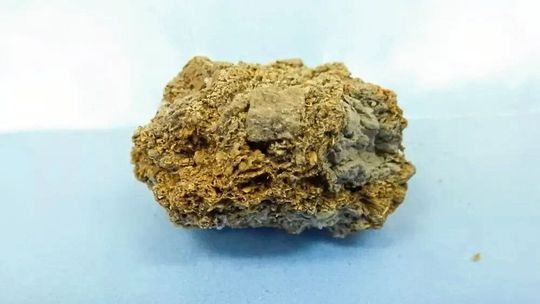 Etwa 2.000 Jahre alter menschlicher Stuhl(Bild:  Christina Warinner/Zandra Fagernäs)