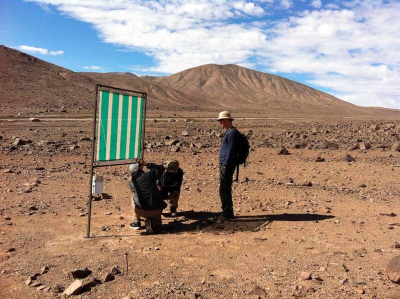 Feldforschung in Chile - Aufbau zur Sammlung von atmosphärischem Wasser an der Probenentnahmestelle Lomas Bayas (© TU Berlin / Atacama-Project)