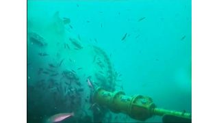 Hier eine Momentaufnahme der ersten „Natick“-Unterwasserkamera.  (Microsoft)