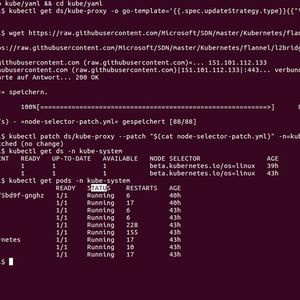 Abbildung 3: Vorbereiten eines Kubernetes-Cluster für „Windows Server 2019“(Bild:  Thomas Joos)