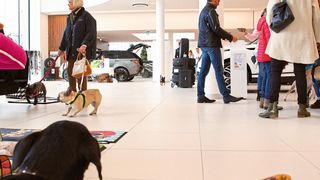 Gut 200 Besucher folgten der Einladung von Auto Bierschneider British Cars zum ersten Monaco Dog Day. (Bild: Bierschneider)