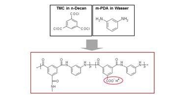 Die Polyamidschicht der Verbundmembran wird durch eine Grenzflächenpolymerisation von Tri-Methylenchlorid (TMC) und dem meta-Phenyl-diamin (m-PDA) gebildet.  Bei der Reaktion der  Chlor-Carboxyl-Gruppe mit Wasser bildet sich eine Carboxyl-Gruppe aus, die zu einer negativen Ladung der Oberfläche führt (Bild: Lanxess)